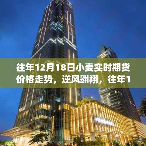 往年12月18日小麦期货价格走势,逆风中的启示与成长之路