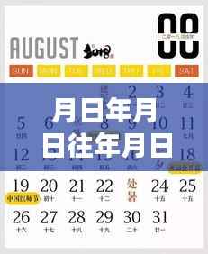 股票实时行情查询与历年历史数据深度解析,掌握未来走势的必备指南