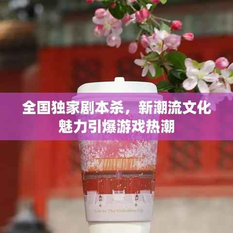 全国独家剧本杀,新潮流文化魅力引爆游戏热潮