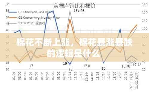 棉花不断上涨,棉花暴涨暴跌的逻辑是什么