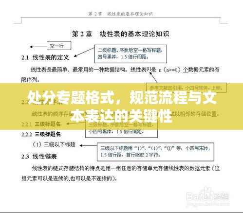 处分专题格式,规范流程与文本表达的关键性