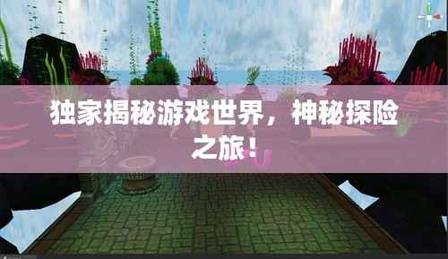 独家揭秘游戏世界,神秘探险之旅!