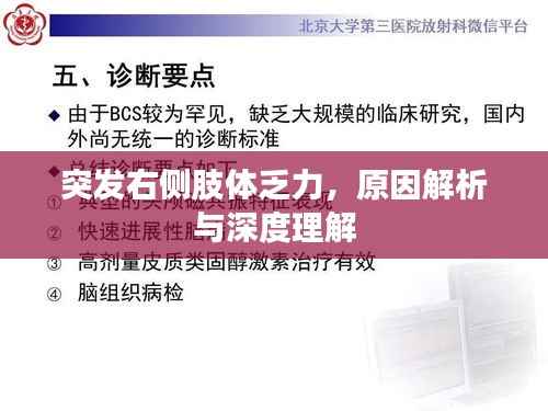 zhuanxinzhizhi 第3页