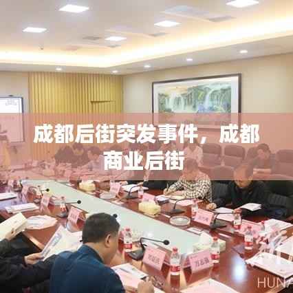 成都后街突发事件,成都商业后街