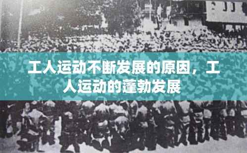 工人运动不断发展的原因,工人运动的蓬勃发展
