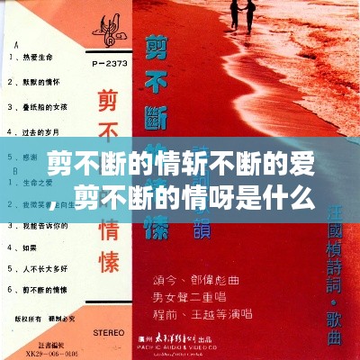 剪不断的情斩不断的爱,剪不断的情呀是什么歌