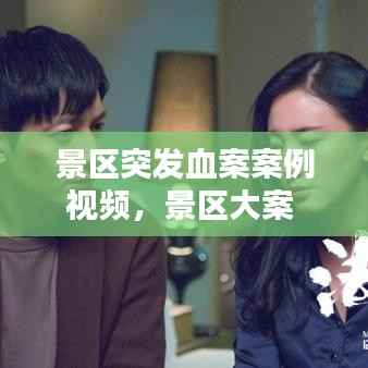 景区突发血案案例视频,景区大案
