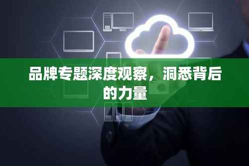 品牌专题深度观察,洞悉背后的力量