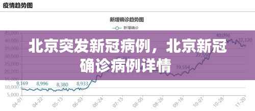 北京突发新冠病例,北京新冠确诊病例详情