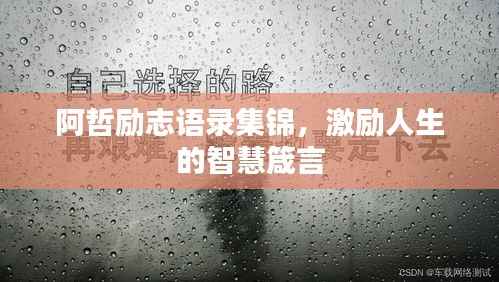 阿哲励志语录集锦,激励人生的智慧箴言