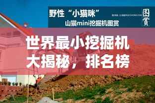 世界最小挖掘机大揭秘,排名榜带你领略微型挖掘魅力!