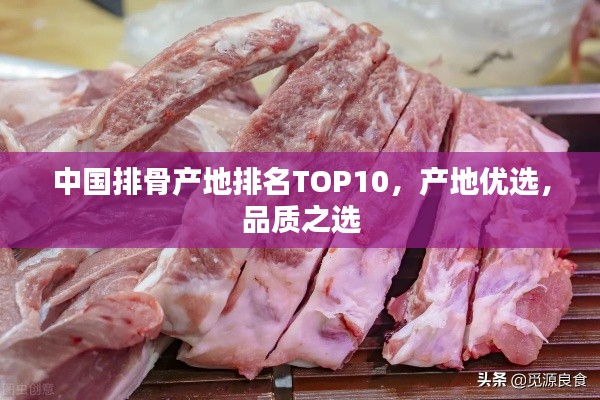 中国排骨产地排名TOP10,产地优选,品质之选