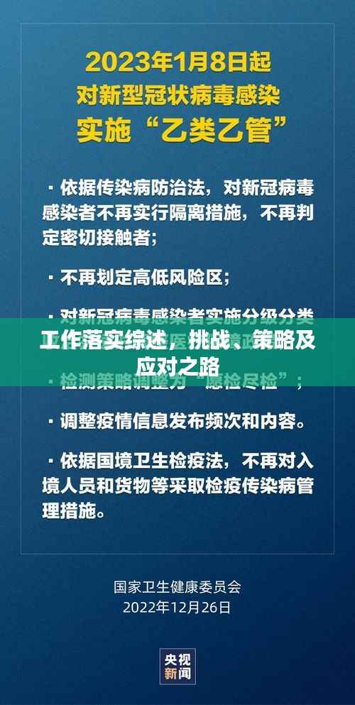 工作落实综述,挑战、策略及应对之路