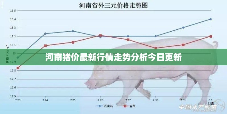 河南猪价最新行情走势分析今日更新