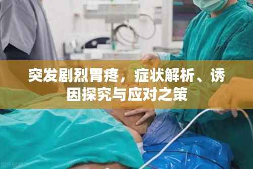突发剧烈胃疼,症状解析、诱因探究与应对之策