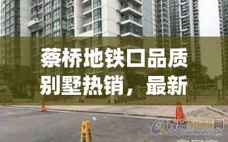蔡桥地铁口品质别墅热销,最新房源出售信息一览