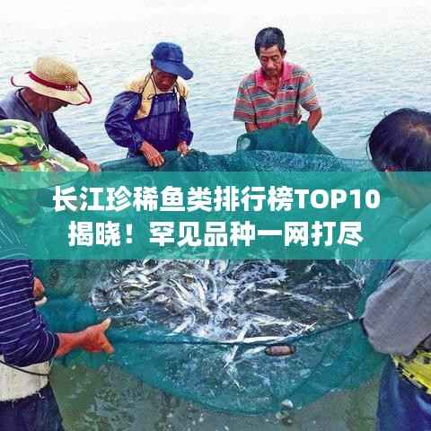 长江珍稀鱼类排行榜TOP10揭晓!罕见品种一网打尽