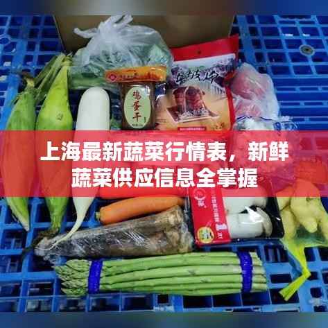 上海最新蔬菜行情表,新鲜蔬菜供应信息全掌握
