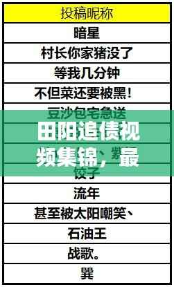 田阳追债视频集锦,最新播放及深度解析