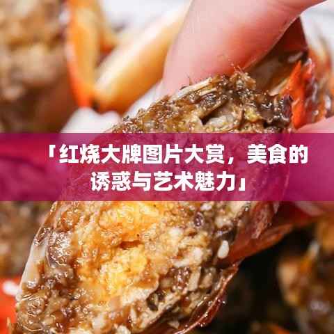 「红烧大牌图片大赏,美食的诱惑与艺术魅力」