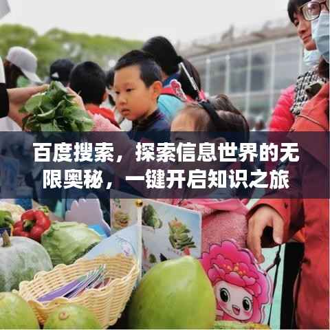 百度搜索,探索信息世界的无限奥秘,一键开启知识之旅