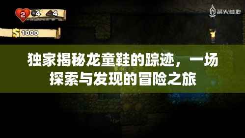 独家揭秘龙童鞋的踪迹,一场探索与发现的冒险之旅