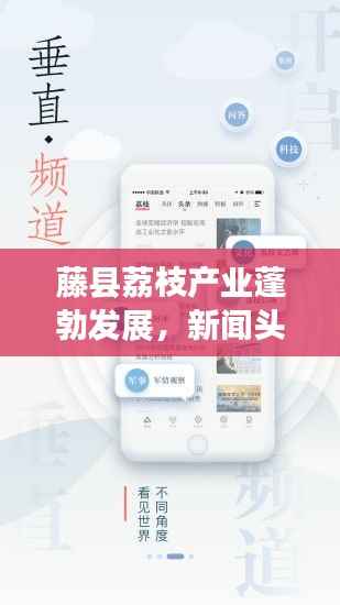 藤县荔枝产业蓬勃发展,新闻头条揭示甜蜜产业新动向