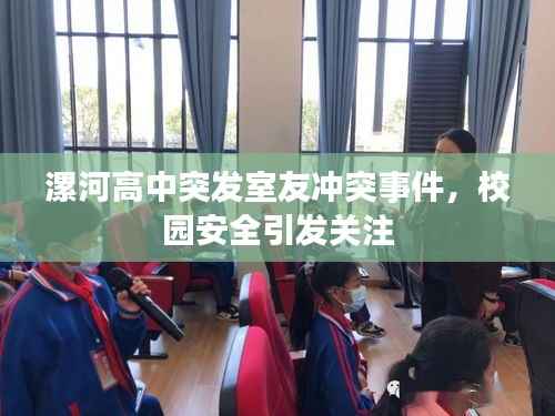 漯河高中突发室友冲突事件,校园安全引发关注
