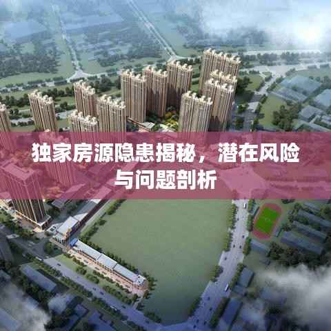 独家房源隐患揭秘,潜在风险与问题剖析