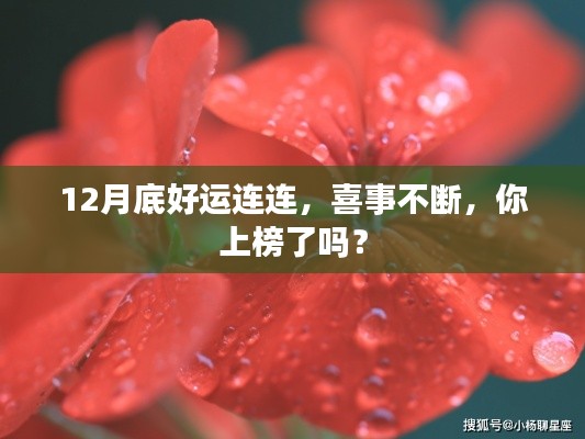 12月底好运连连,喜事不断,你上榜了吗?