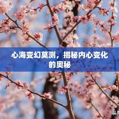 心海变幻莫测,揭秘内心变化的奥秘