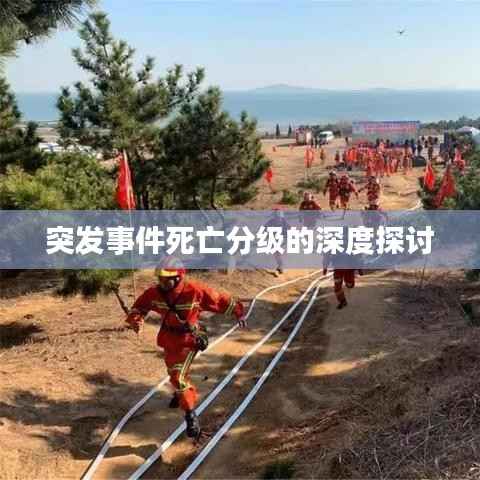突发事件死亡分级的深度探讨