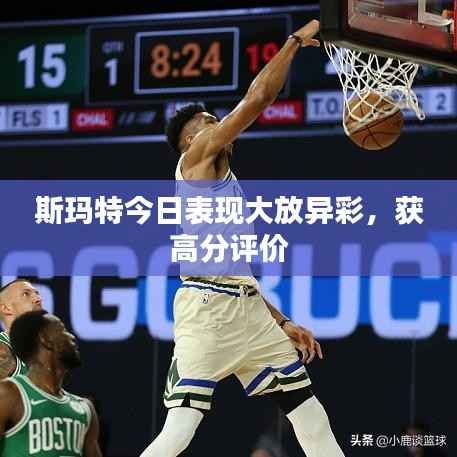 斯玛特今日表现大放异彩,获高分评价