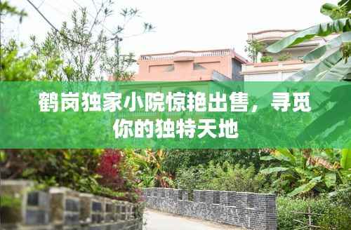 鹤岗独家小院惊艳出售,寻觅你的独特天地