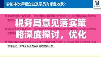 税务局意见落实策略深度探讨,优化税收管理,提升执行效能