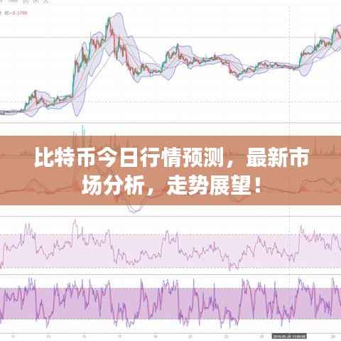 比特币今日行情预测,最新市场分析,走势展望!