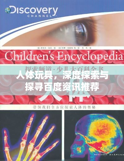 人体玩具,深度探索与探寻百度资讯推荐