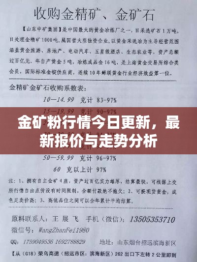 金矿粉行情今日更新,最新报价与走势分析