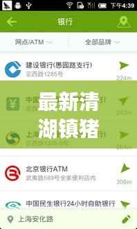 最新清湖镇猪肉价格表,快速查询,一目了然