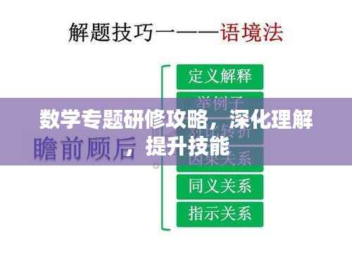 数学专题研修攻略,深化理解,提升技能