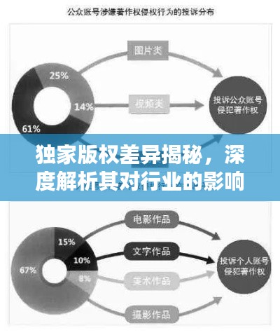独家版权差异揭秘,深度解析其对行业的影响