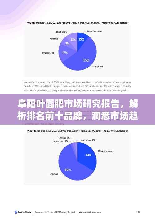 阜阳叶面肥市场研究报告,解析排名前十品牌,洞悉市场趋势