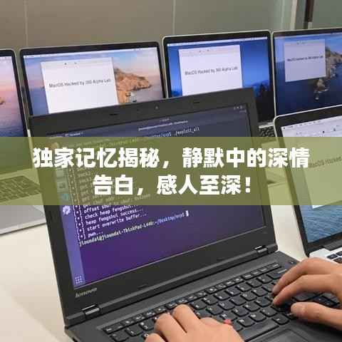 独家记忆揭秘,静默中的深情告白,感人至深!