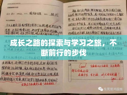 成长之路的探索与学习之旅,不断前行的步伐
