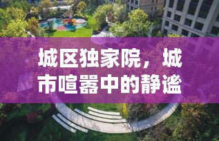 城区独家院,城市喧嚣中的静谧避风港