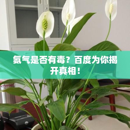 氨气是否有毒?百度为你揭开真相!