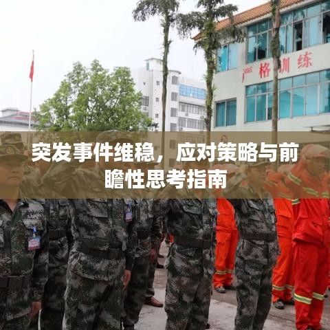 突发事件维稳,应对策略与前瞻性思考指南