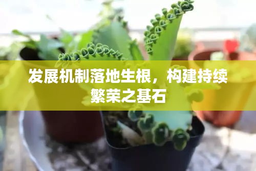 发展机制落地生根,构建持续繁荣之基石